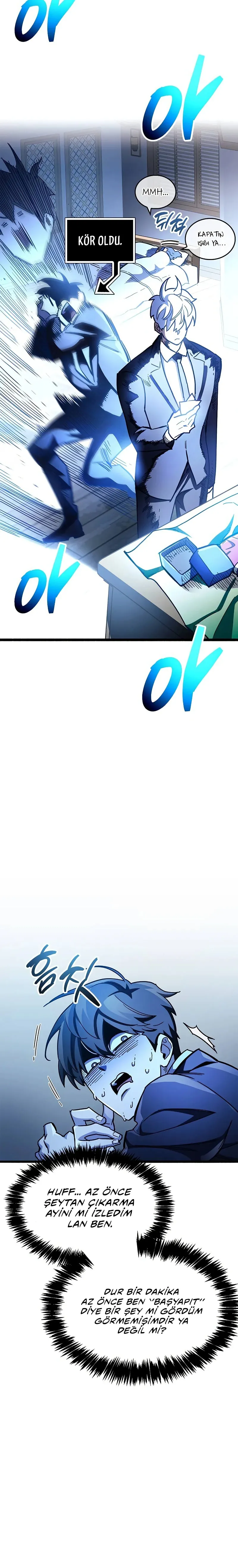 Sayfa 17