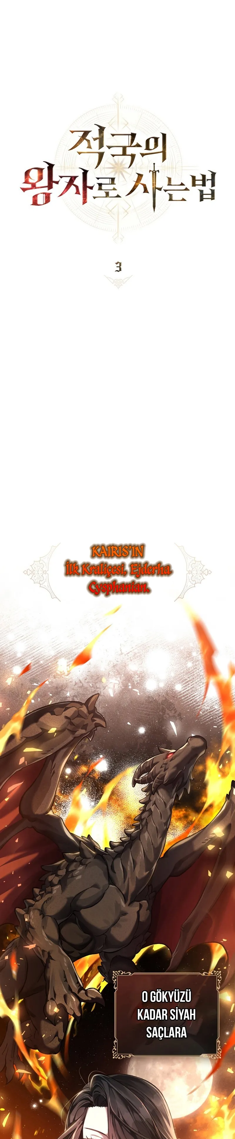 Sayfa 12