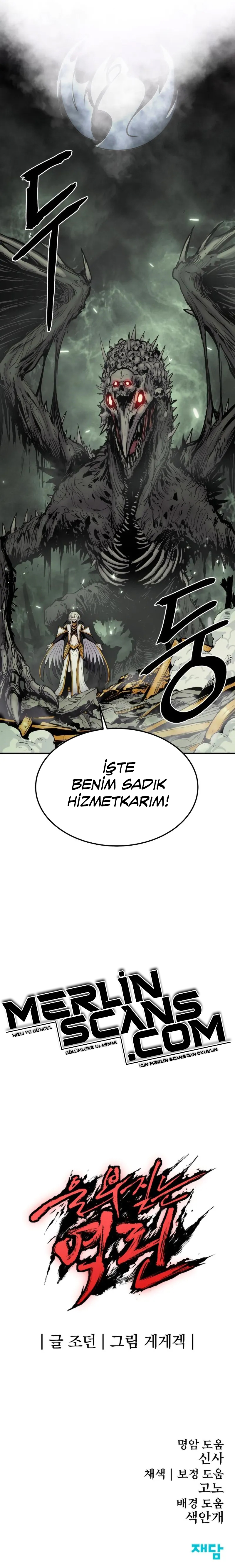 Sayfa 17