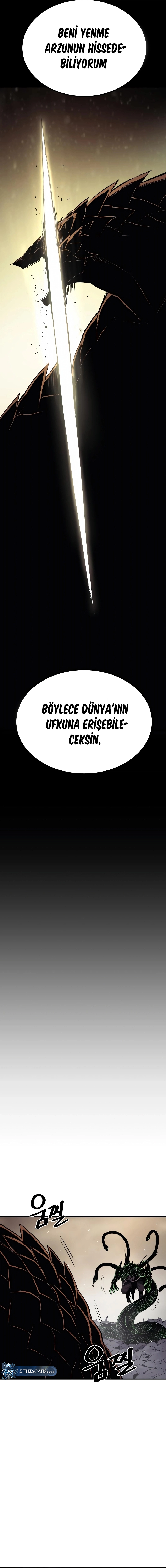 Sayfa 17
