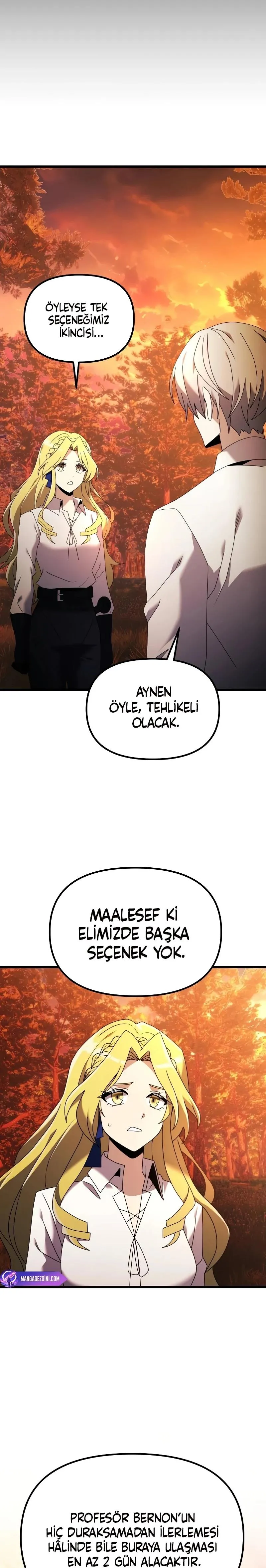 Sayfa 17