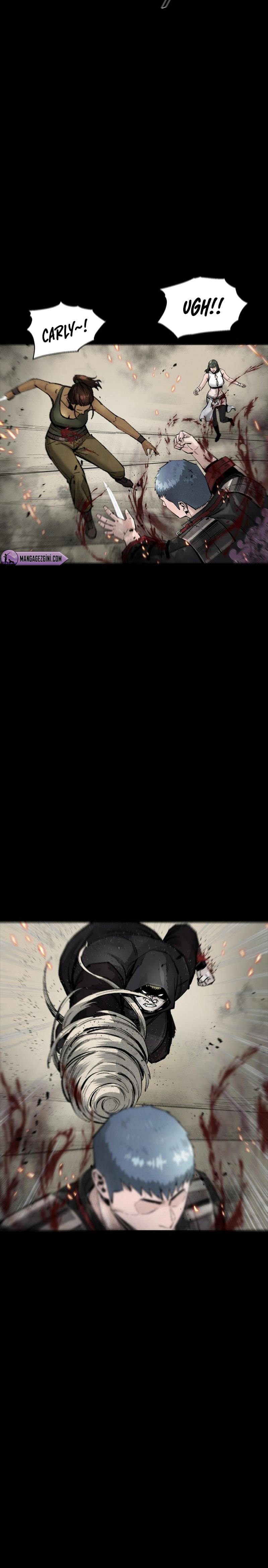 Sayfa 17