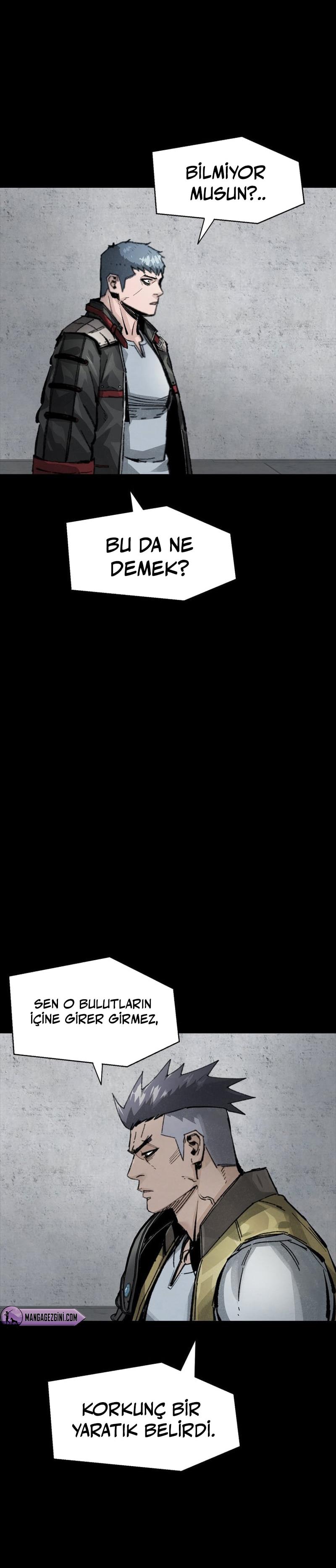 Sayfa 17
