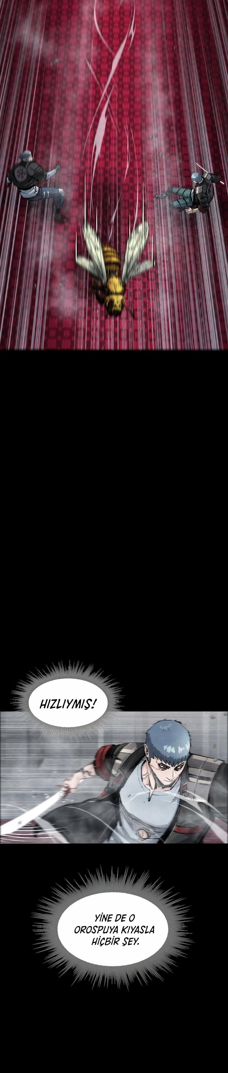 Sayfa 17