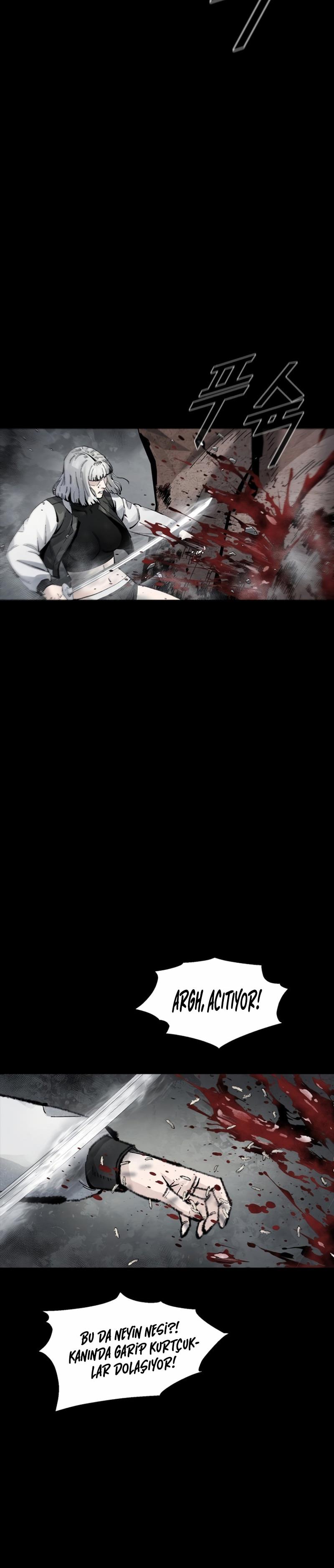Sayfa 11