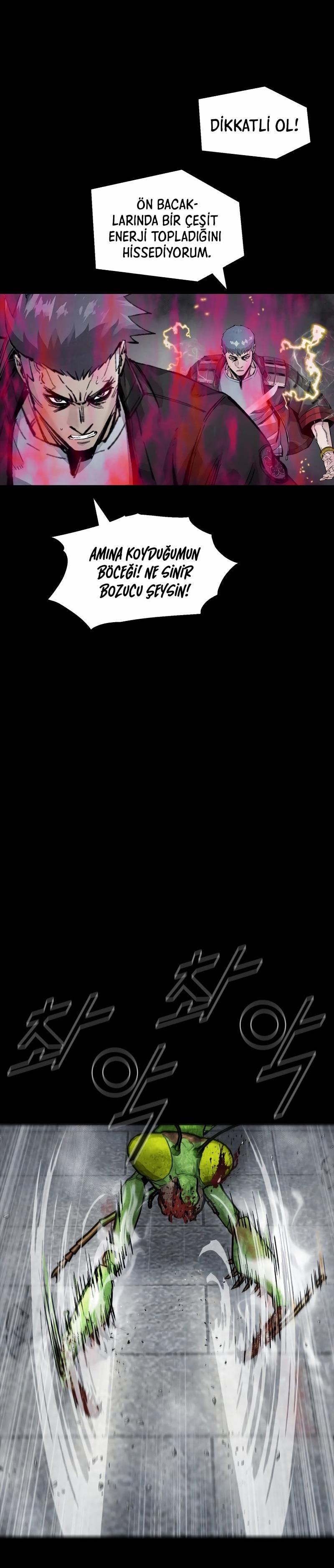 Sayfa 17