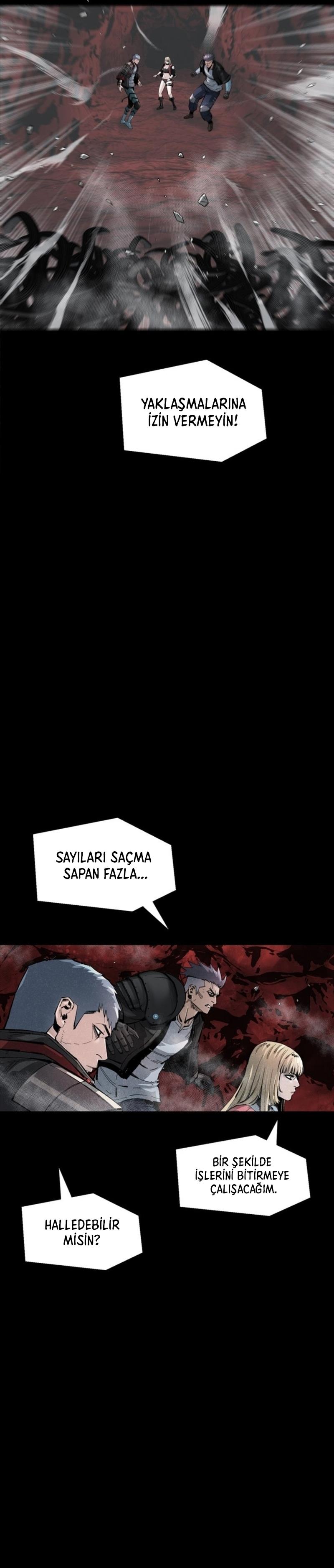 Sayfa 17