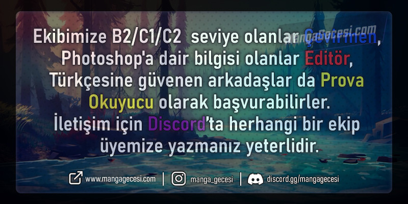 Sayfa 13