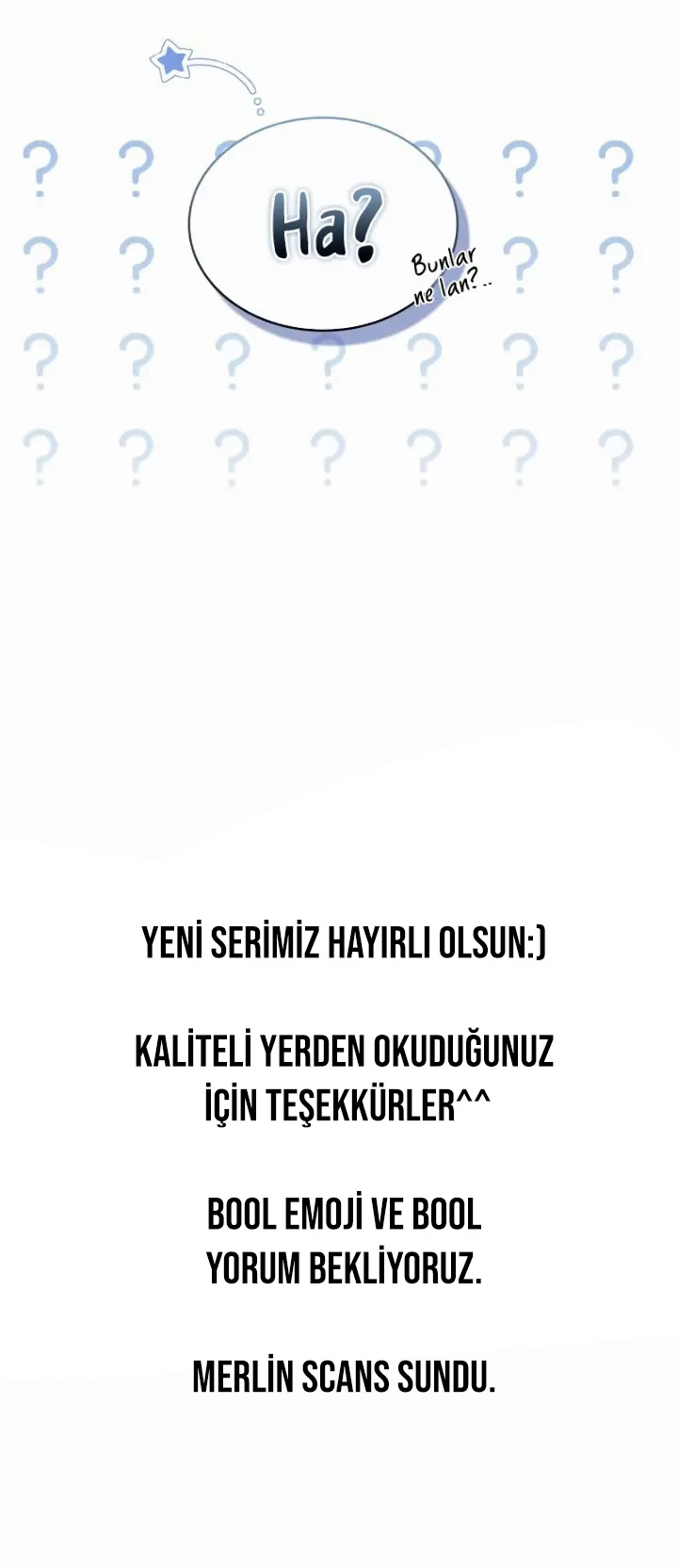 Sayfa 17