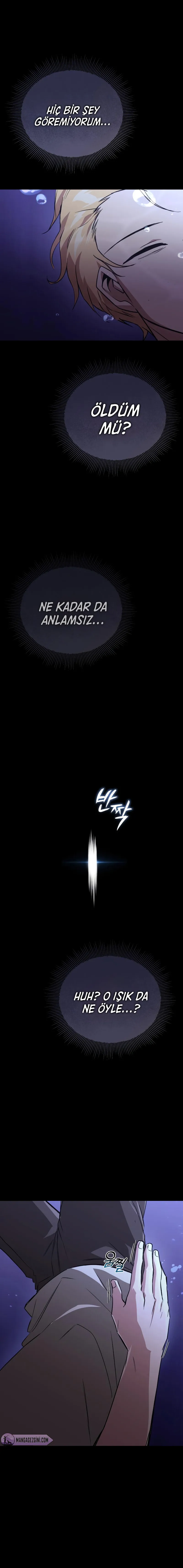 Sayfa 17