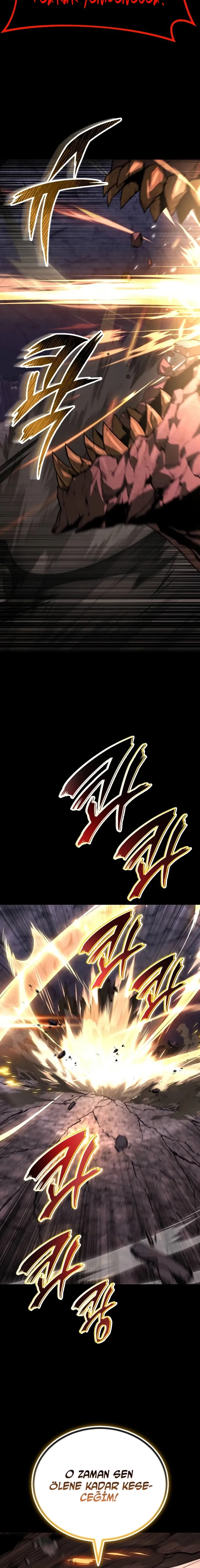 Sayfa 17